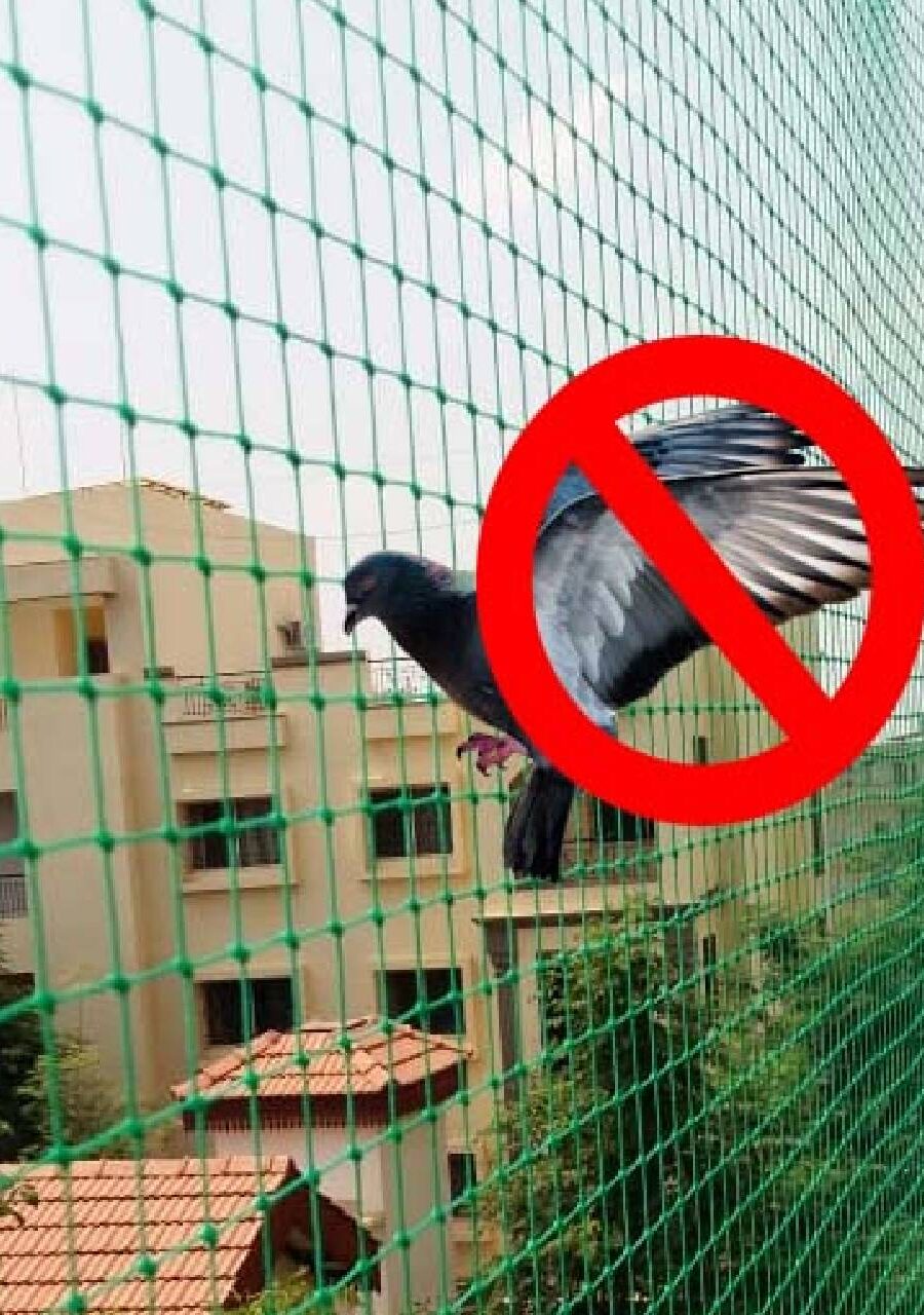 Pigeon Nets for Balcony in Bangalore. Call 9964458892 for Quote